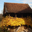 slika01